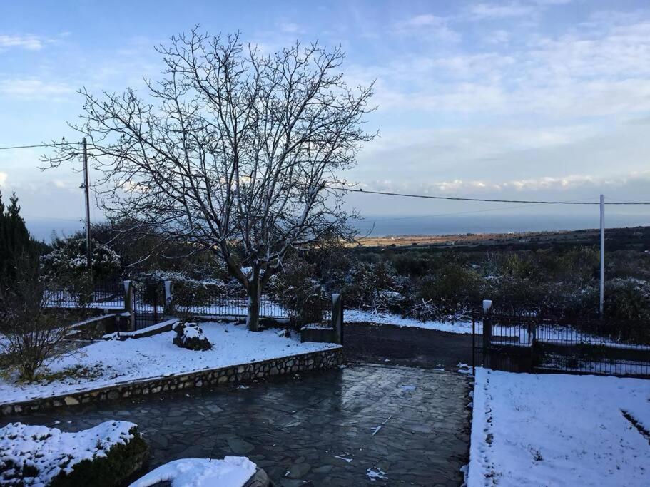 Villa_Kleio لِتوخورو المظهر الخارجي الصورة